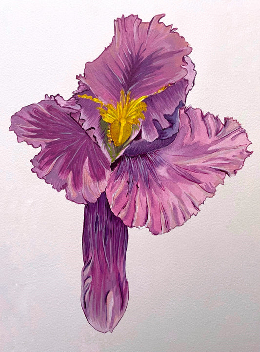 Acrylic painting of an Iris flower in a vibrant shade of raspberry.