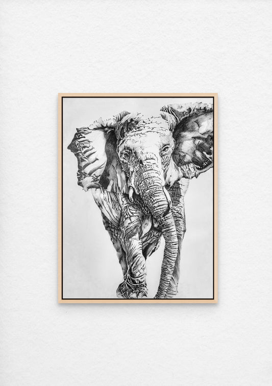 Pencil sketch of an elephant