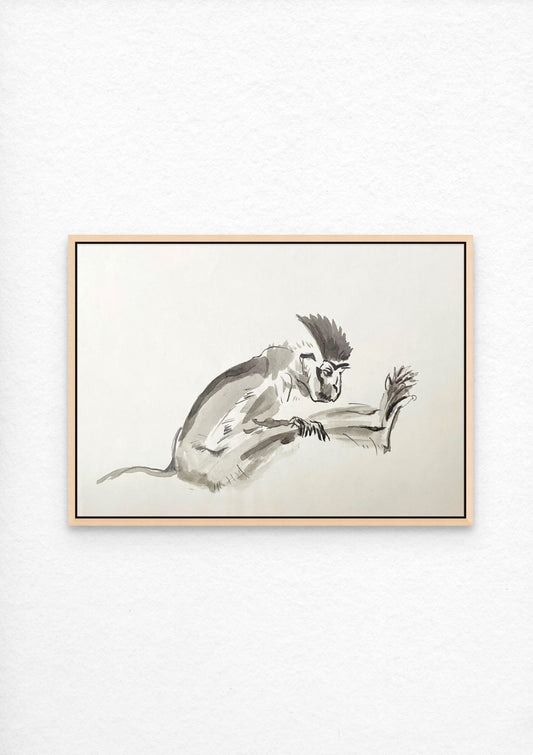 Ink painting of a Vervet Monkey sitting down